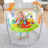 Fisher-Price Baby Bouncer Tiger Time Jumperoo Activity Center $59.99