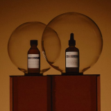AESOP Skincare Hot Sale GWP + FS