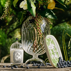 Diptyque UK：植物图鉴装饰系列上新